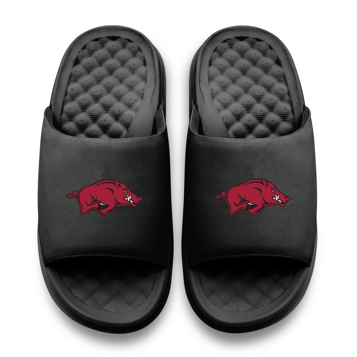 Arkansas Razorbacks Primary Motive 11