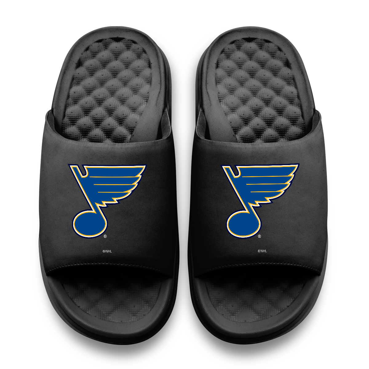 St Louis Blues Primary Motive 11