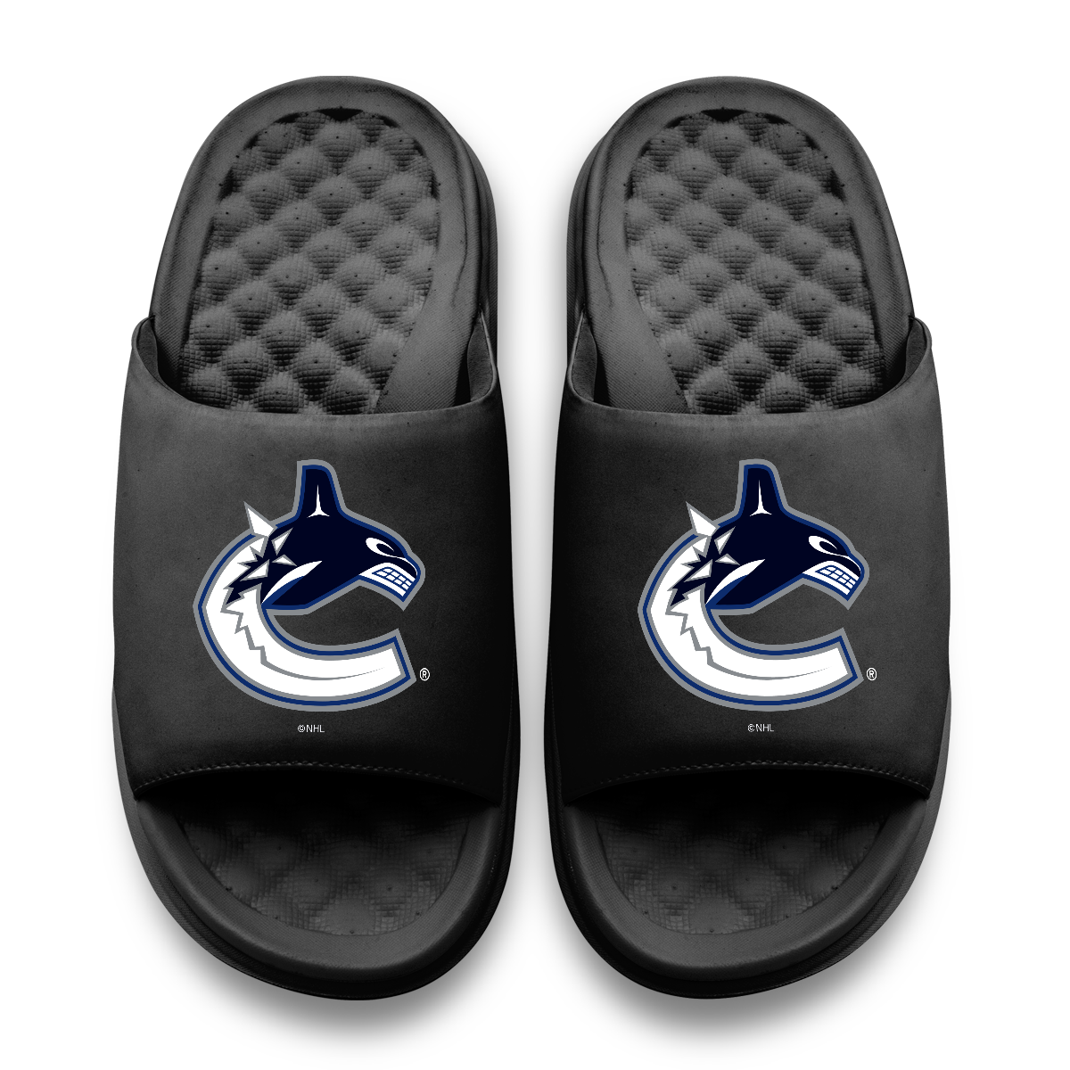 Vancouver Canucks Primary Motive 11