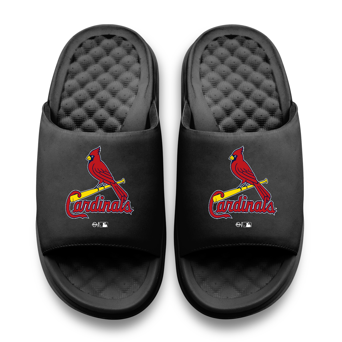 St Louis Cardinals Primary Motive 11