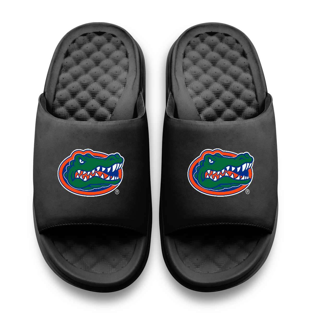 Florida Gators Primary Motive 11