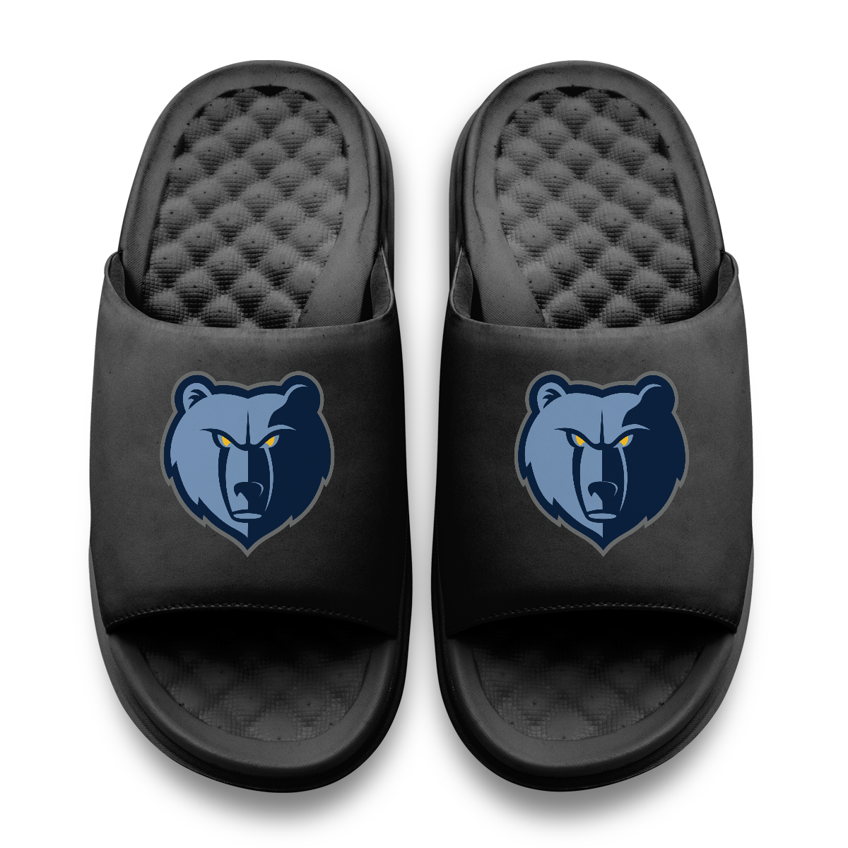 Memphis Grizzlies Primary Motive 11