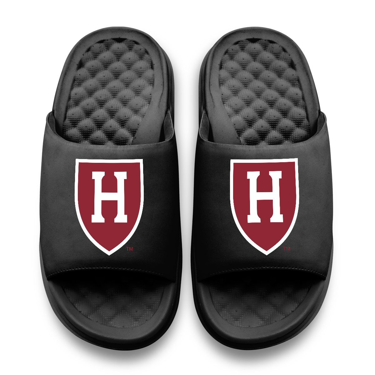 Harvard Crimson Primary Motive 5