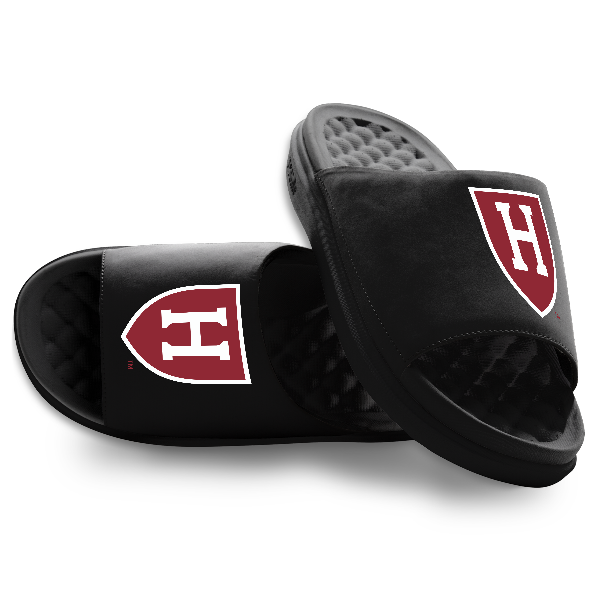 Harvard Crimson Primary Motive 1