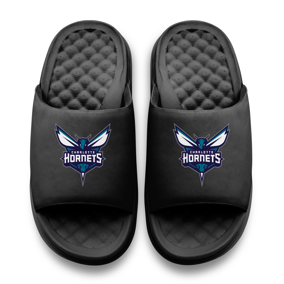 Charlotte Hornets Primary Motive 11