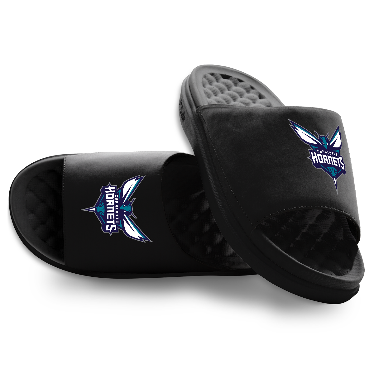 Charlotte Hornets Primary Motive 1