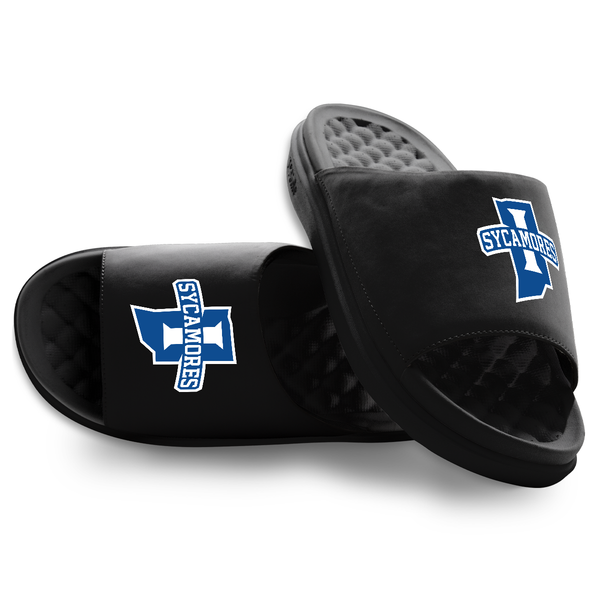 Indiana State Sycamores Primary Motive 1