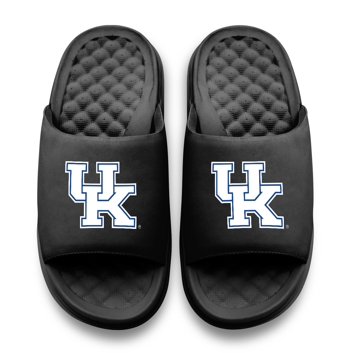 Kentucky Wildcats Primary Motive 11