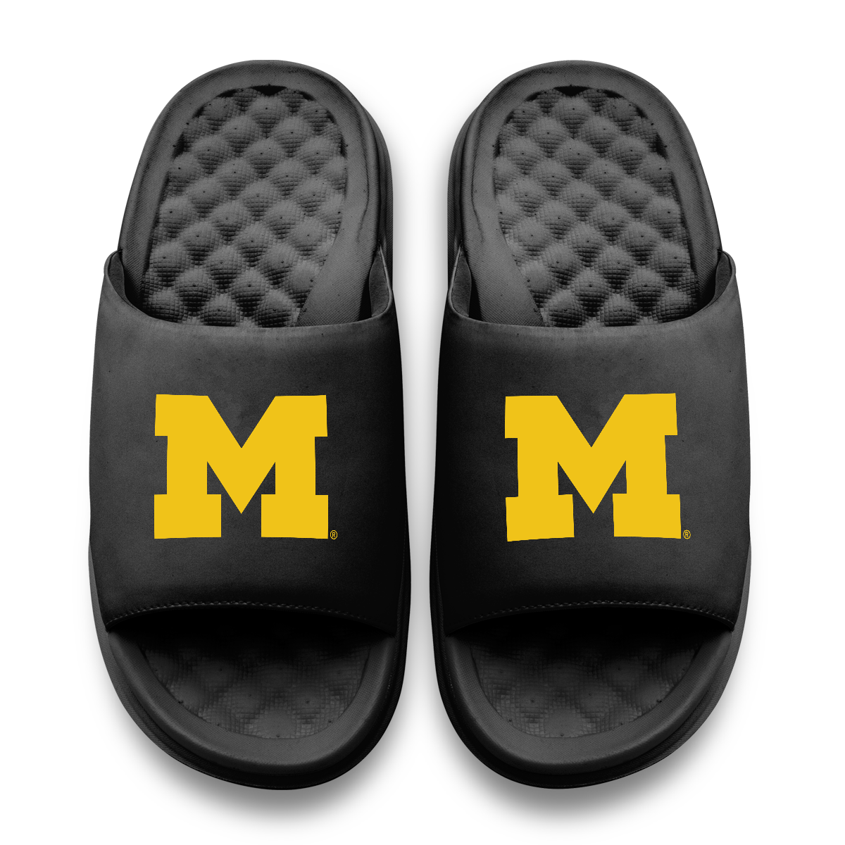 Michigan Wolverines Primary Motive 11