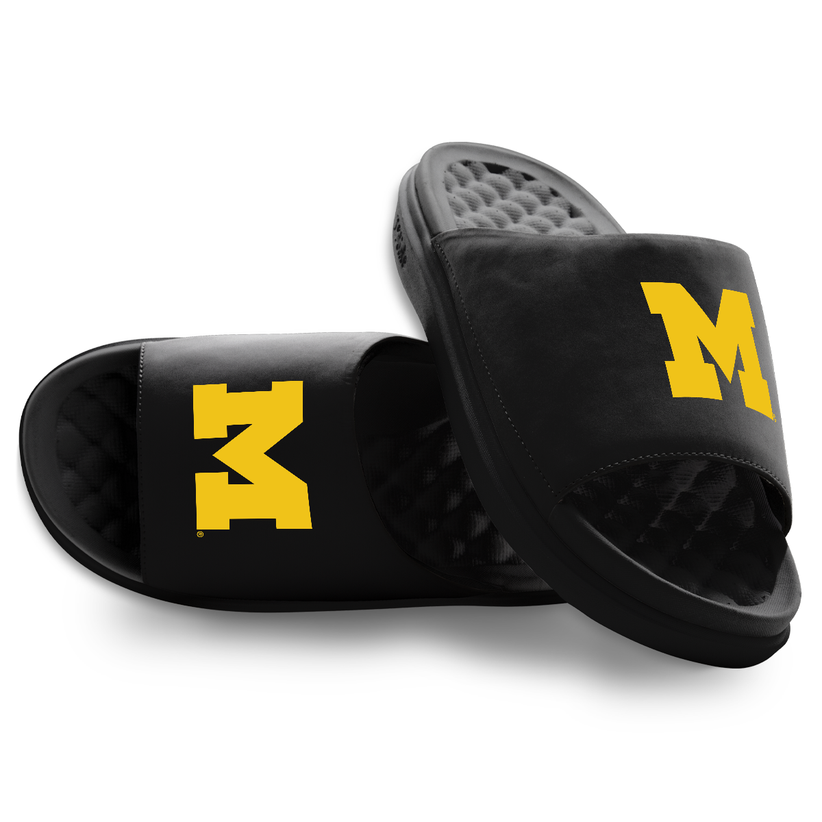 Michigan Wolverines Primary Motive 1