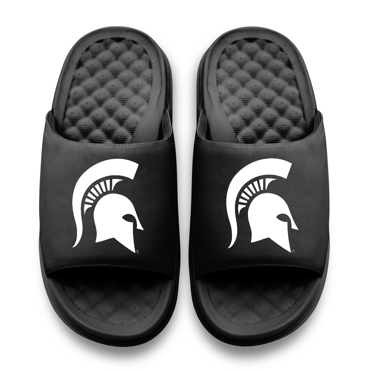 Michigan State Spartans Primary Motive 11