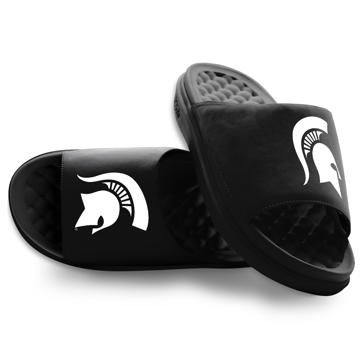 Michigan State Spartans Primary Motive 1
