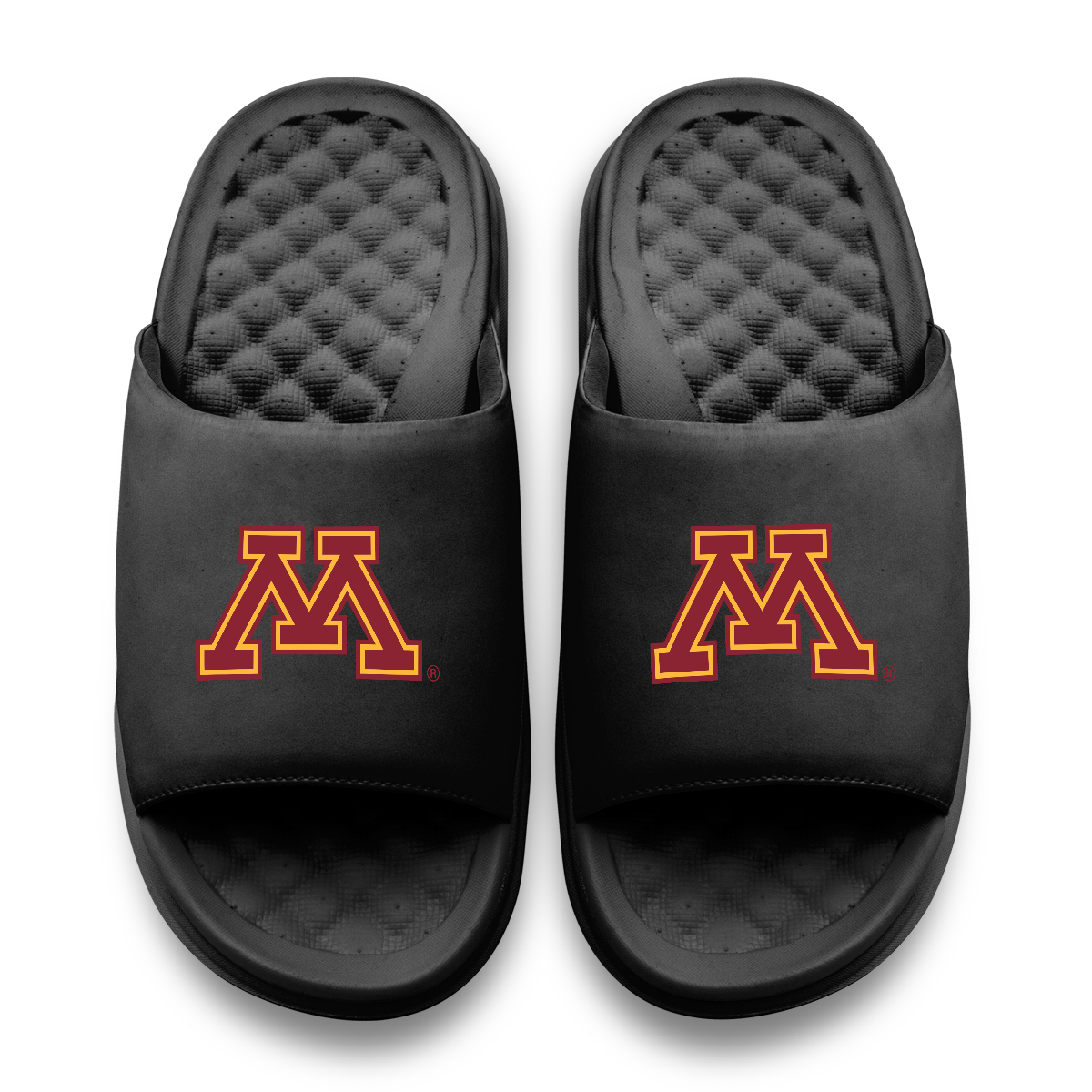 Minnesota Golden Gophers Primary Motive 11