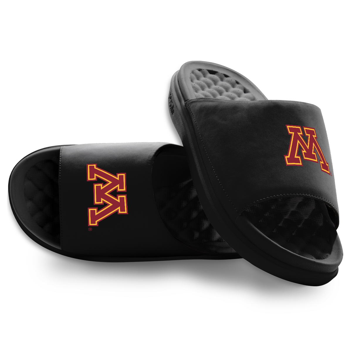 Minnesota Golden Gophers Primary Motive