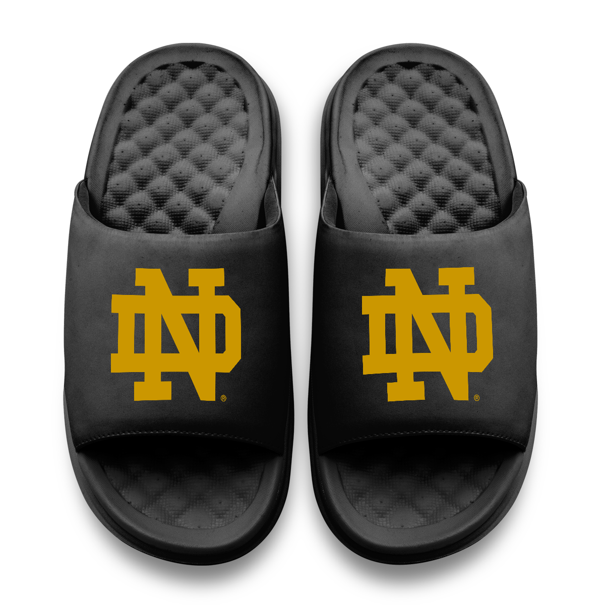 Notre Dame Fighting Irish Primary Motive 11
