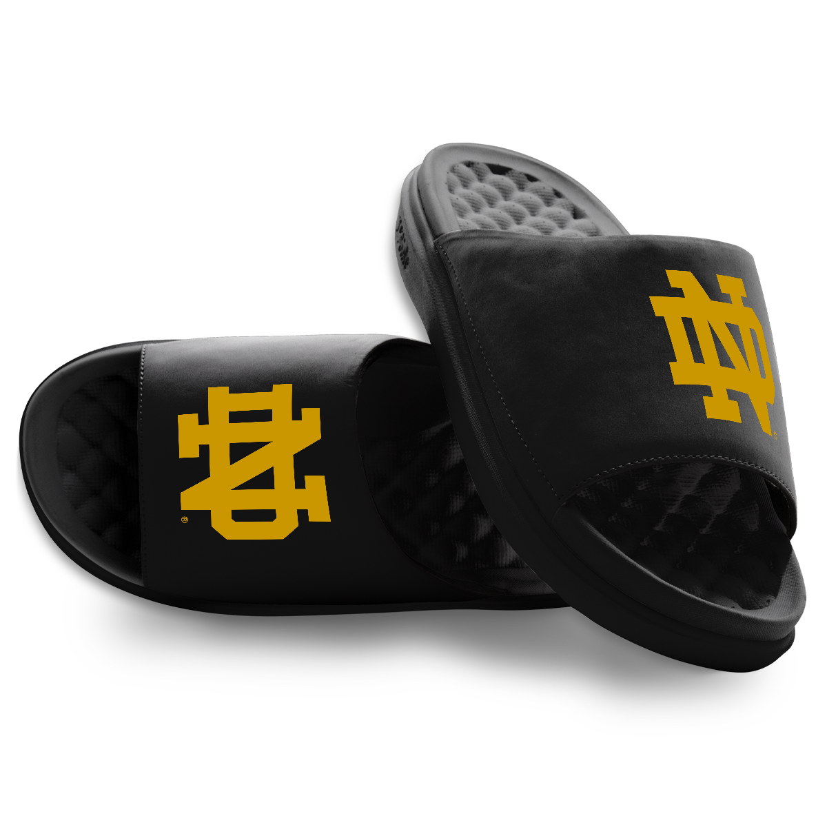 Notre Dame Fighting Irish Primary Motive