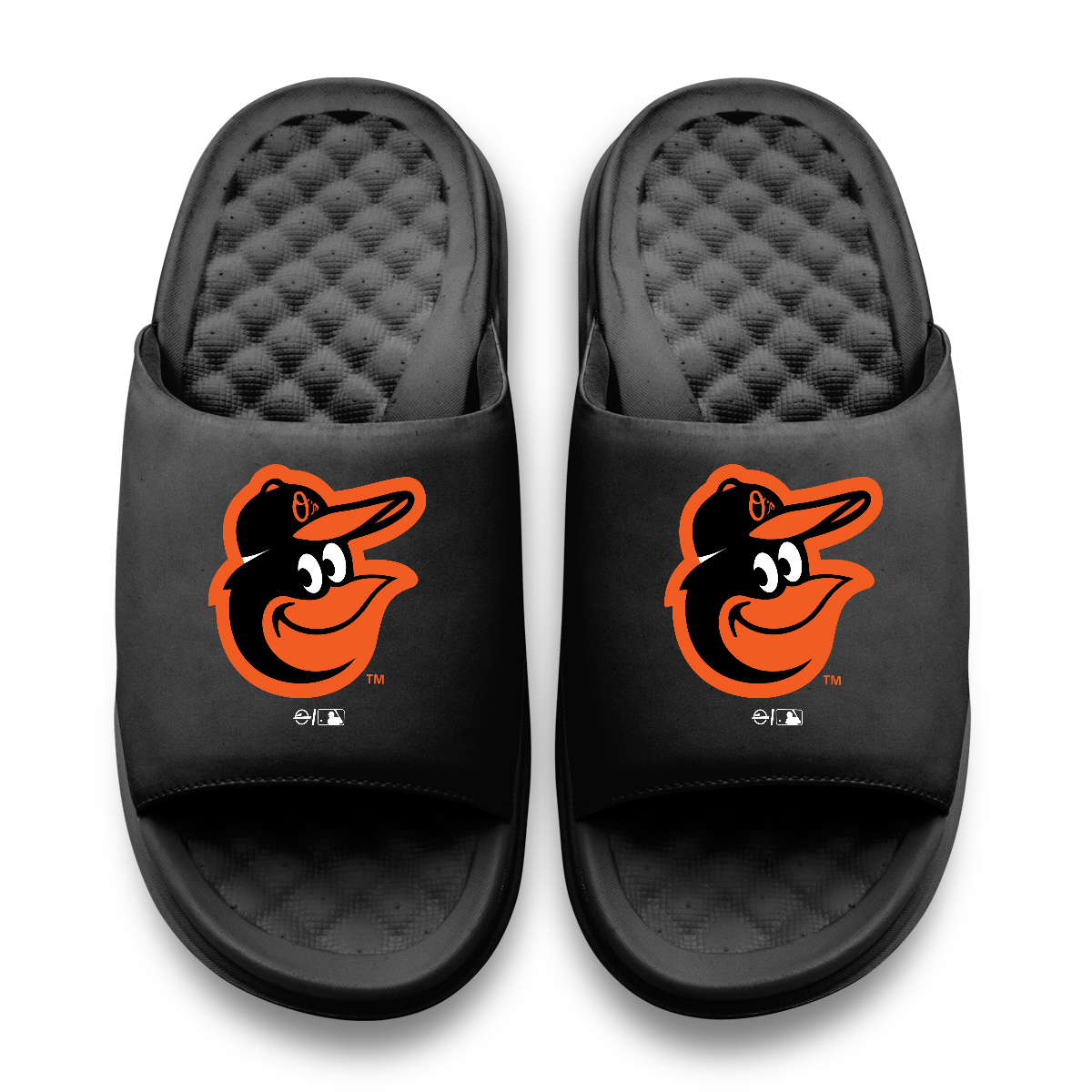 Baltimore Orioles Primary Motive 11
