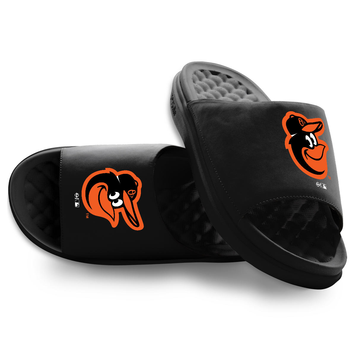 Baltimore Orioles Primary Motive