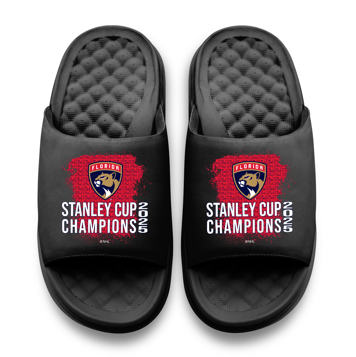 Florida Panthers 2025 Stanley Cup Champions Script Motive 5