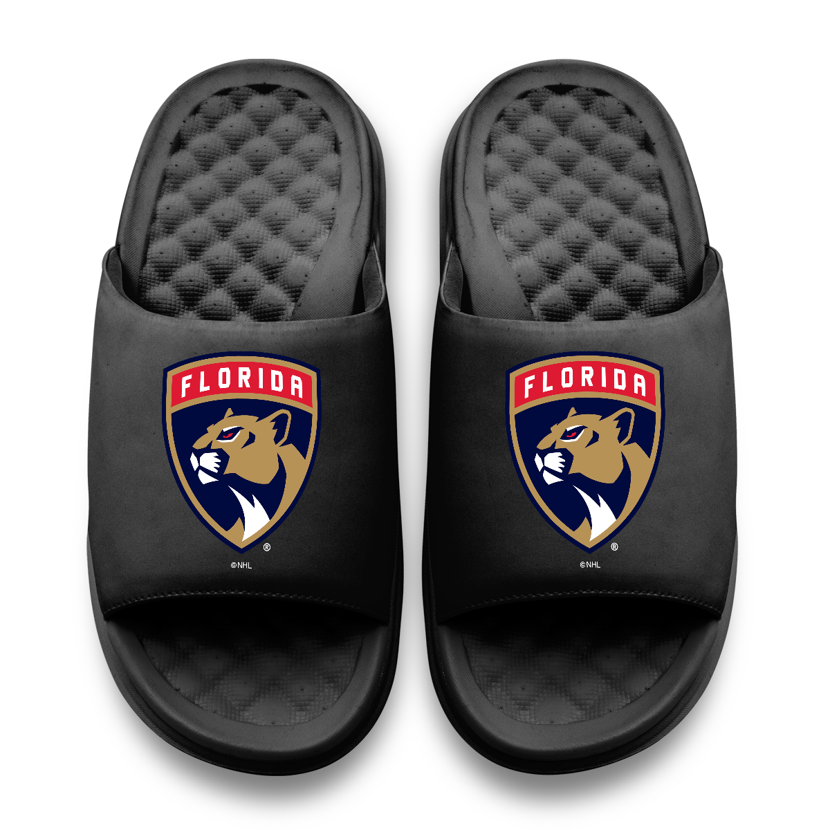 Florida Panthers Primary Motive 11