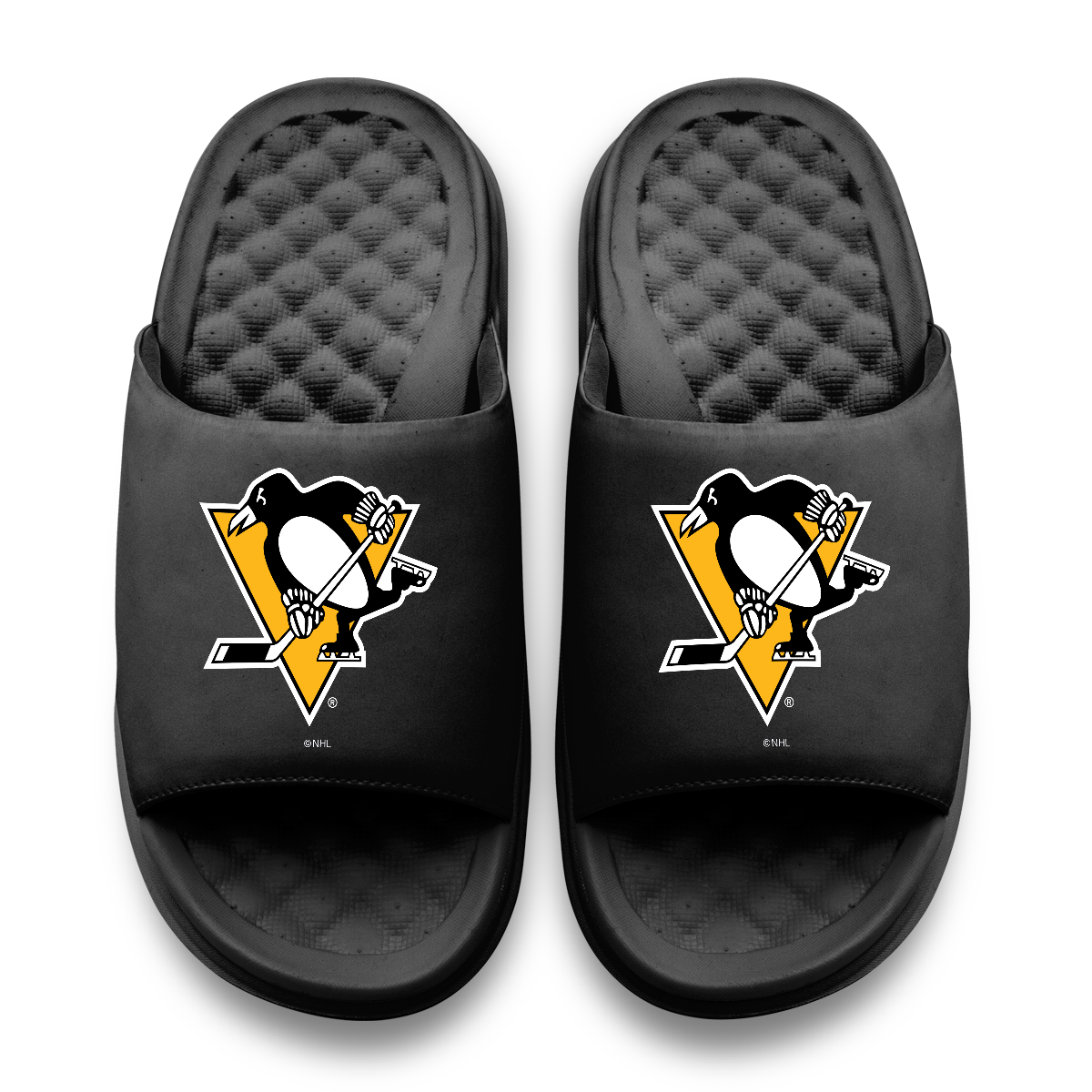 Pittsburgh Penguins Primary Motive 11