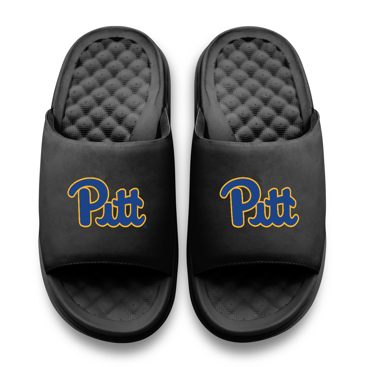 Pitt Panthers Primary Motive 11