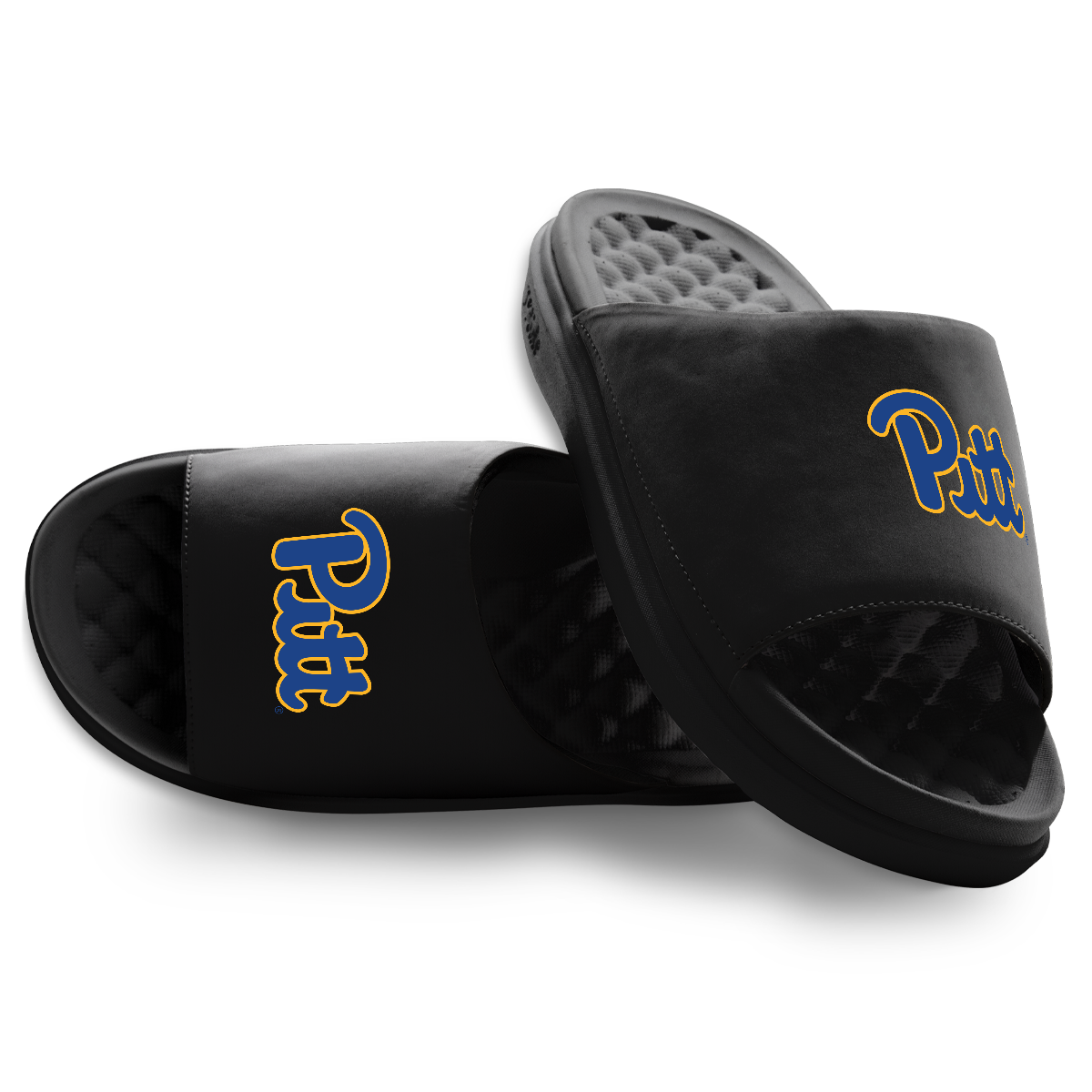Pitt Panthers Primary Motive 1