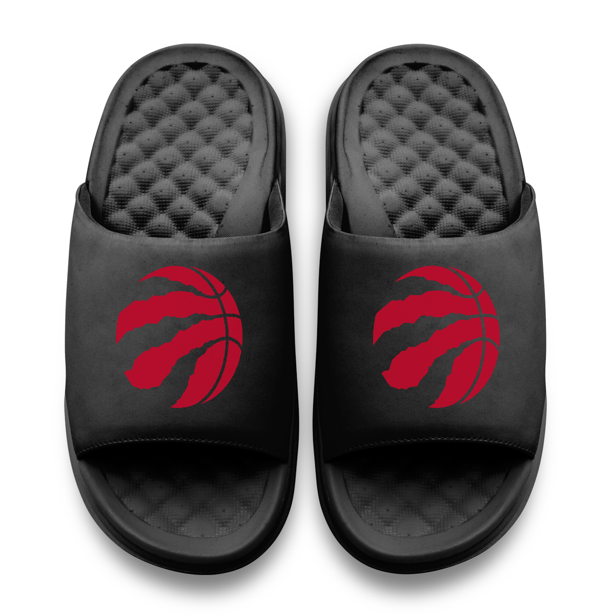 Toronto Raptors Primary Motive 11