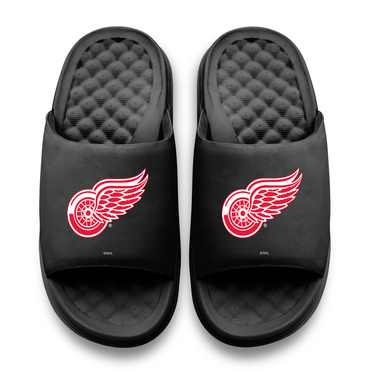 Detroit Red Wings Primary Motive 11