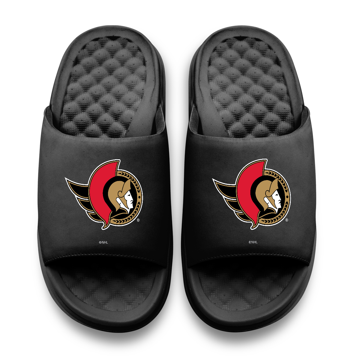 Ottawa Senators Primary Motive 11