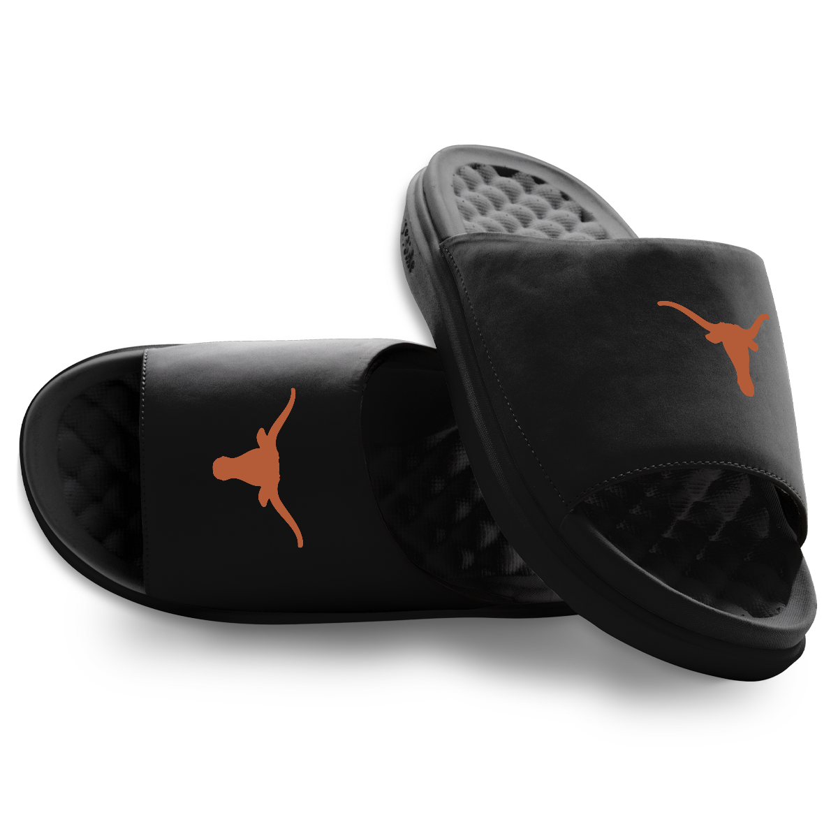 Texas Longhorns Primary Motive 1