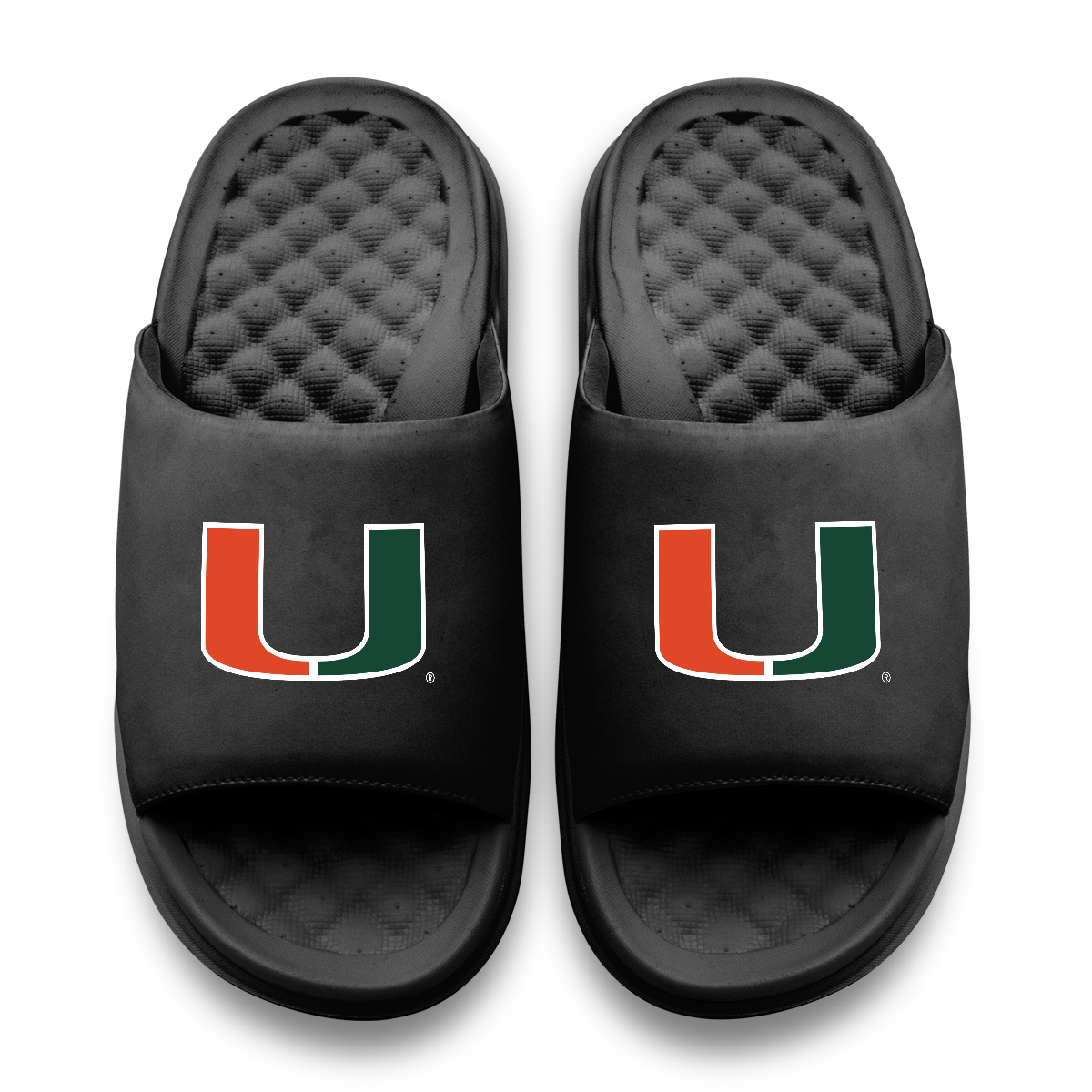 Miami Hurricanes Primary Motive 11