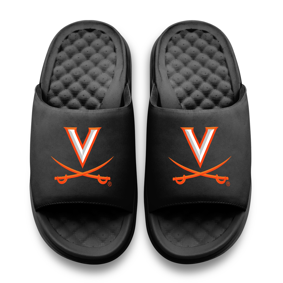 Virginia Cavaliers Primary Motive 11