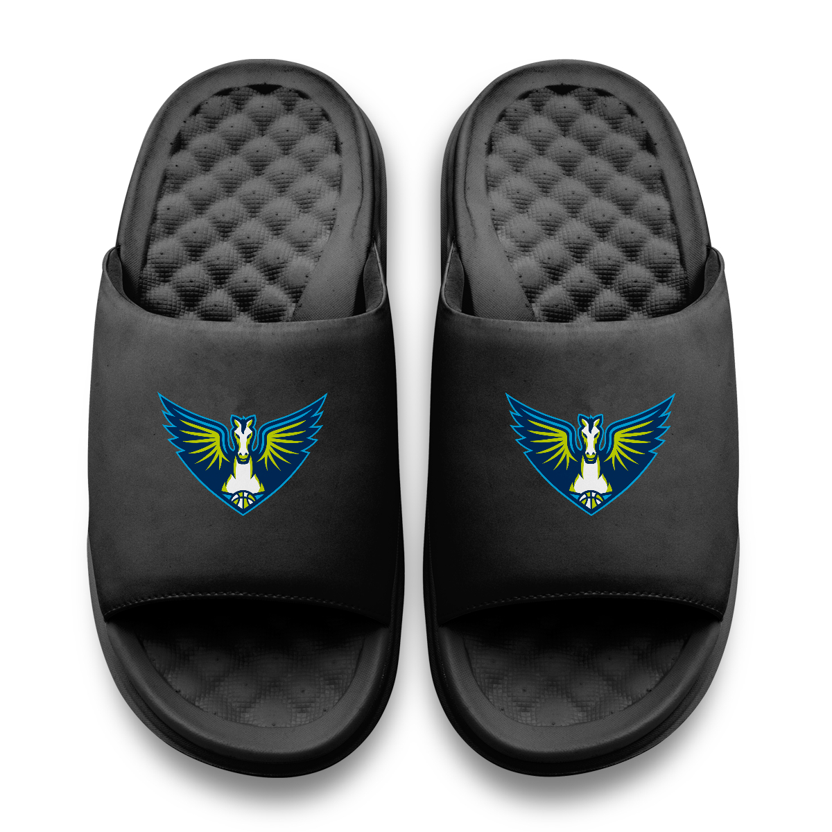 Dallas Wings Primary Motive 11