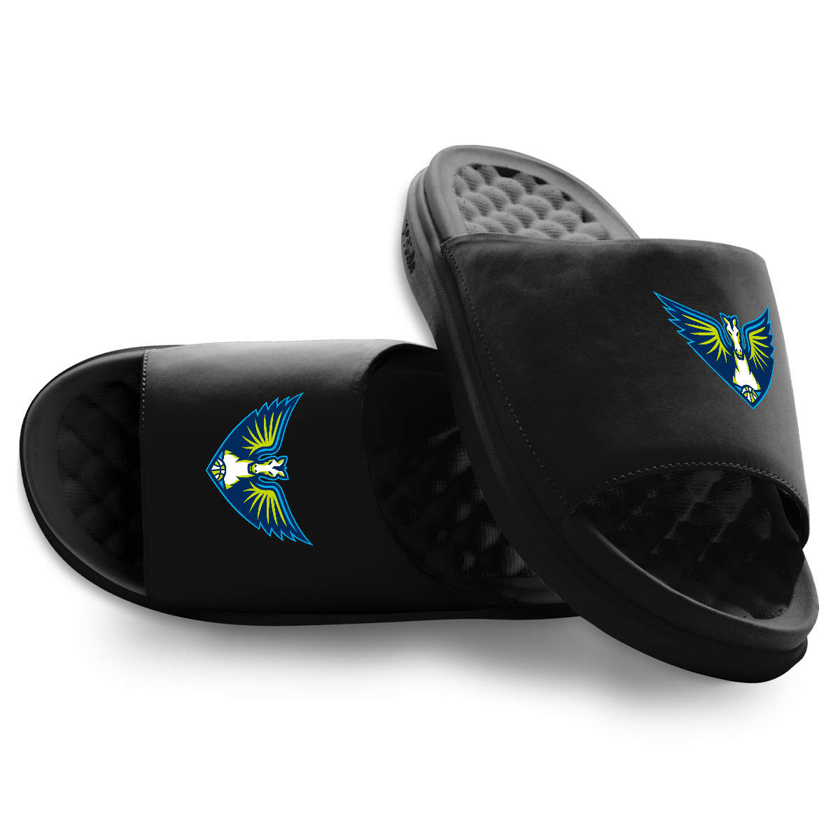 Dallas Wings Primary Motive