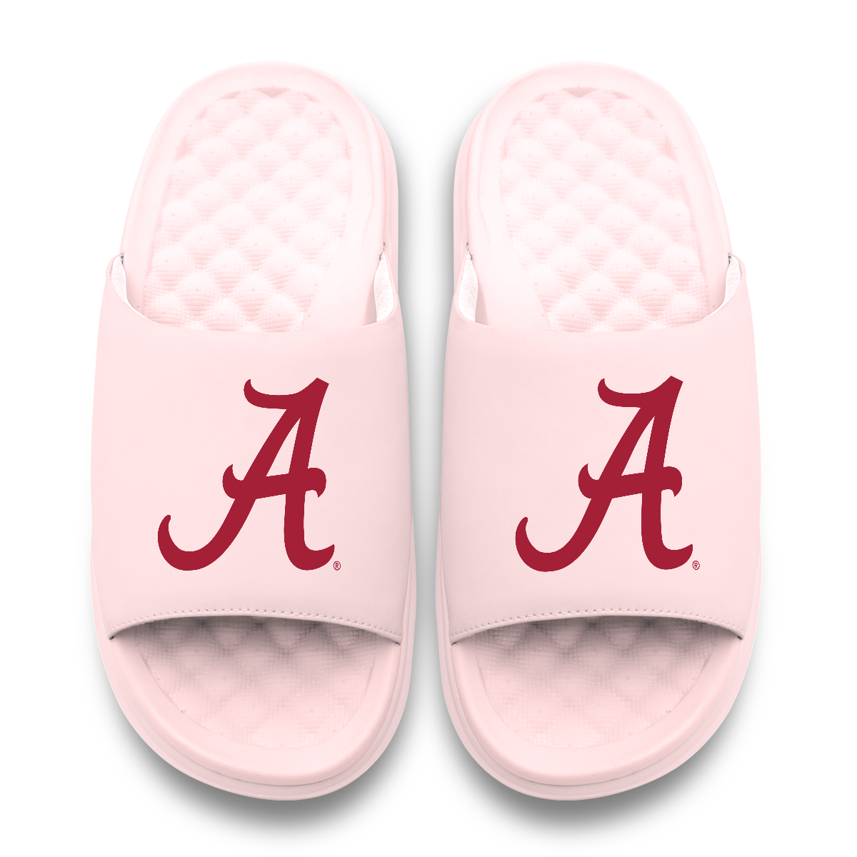 Alabama Crimson Tide Primary Motive 6