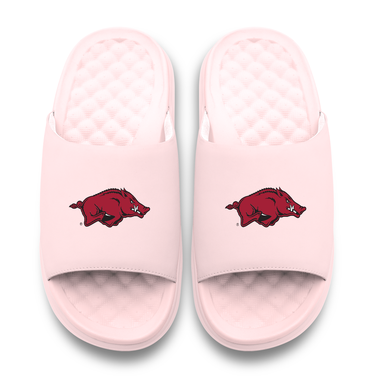 Arkansas Razorbacks Primary Motive 6