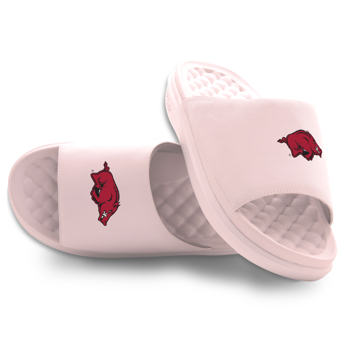 Arkansas Razorbacks Primary Motive 5