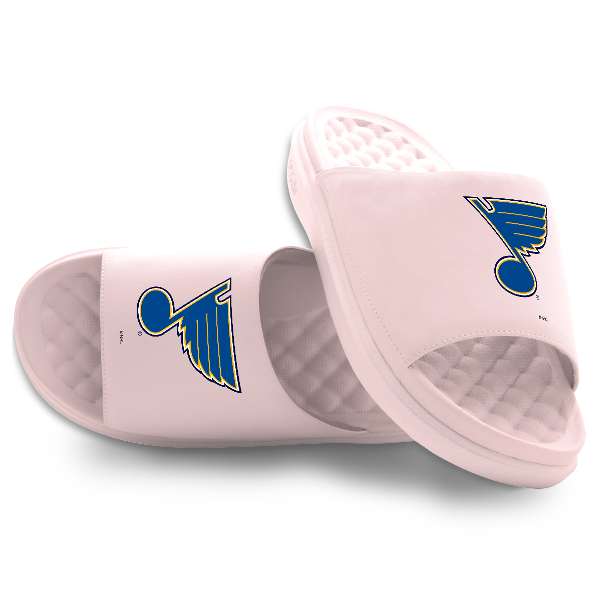 St Louis Blues Primary Motive 5