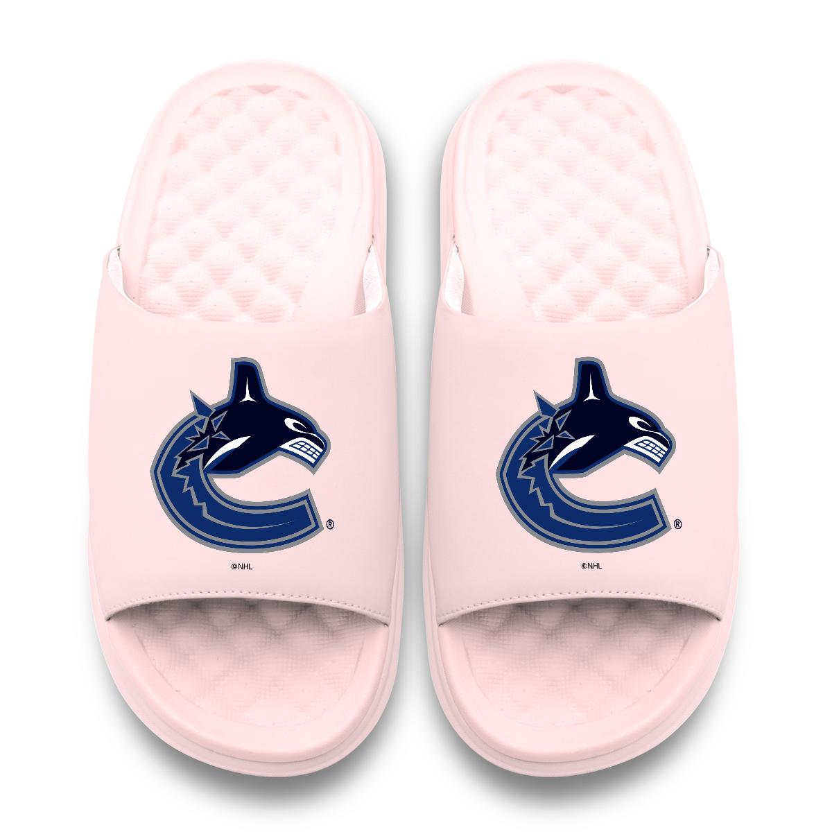 Vancouver Canucks Primary Motive 6