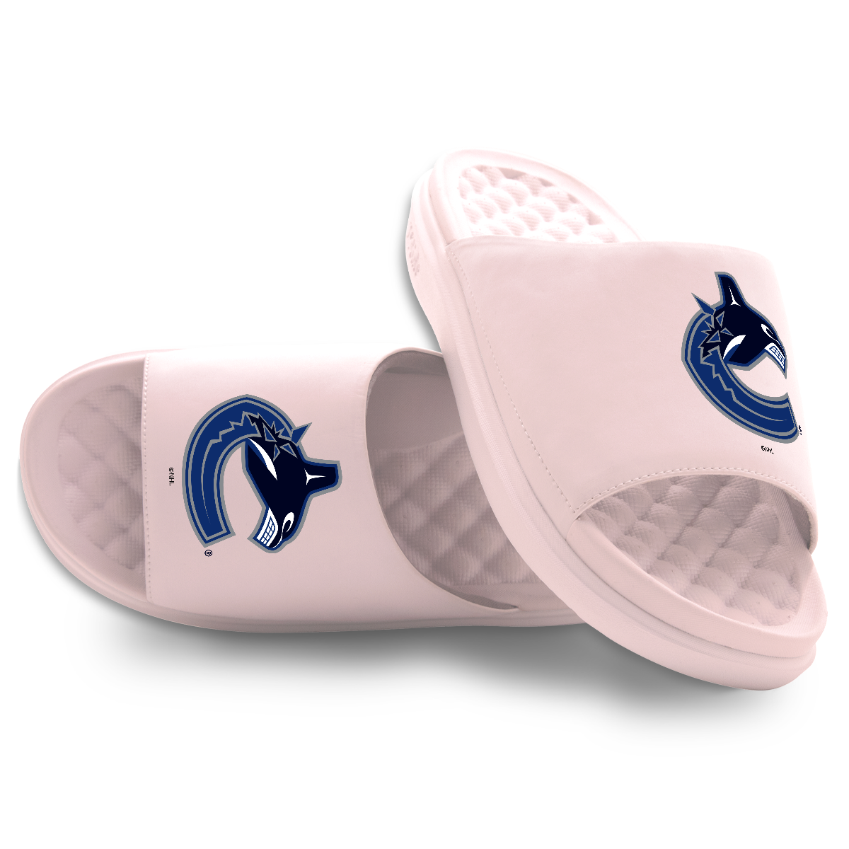 Vancouver Canucks Primary Motive 5