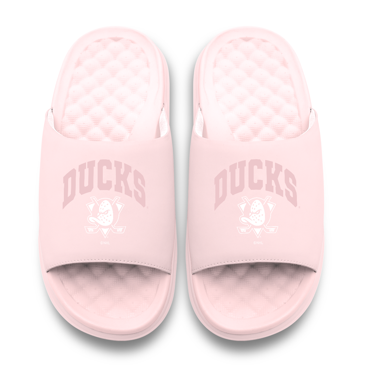 Anaheim Ducks Tonal Pop Motive 11