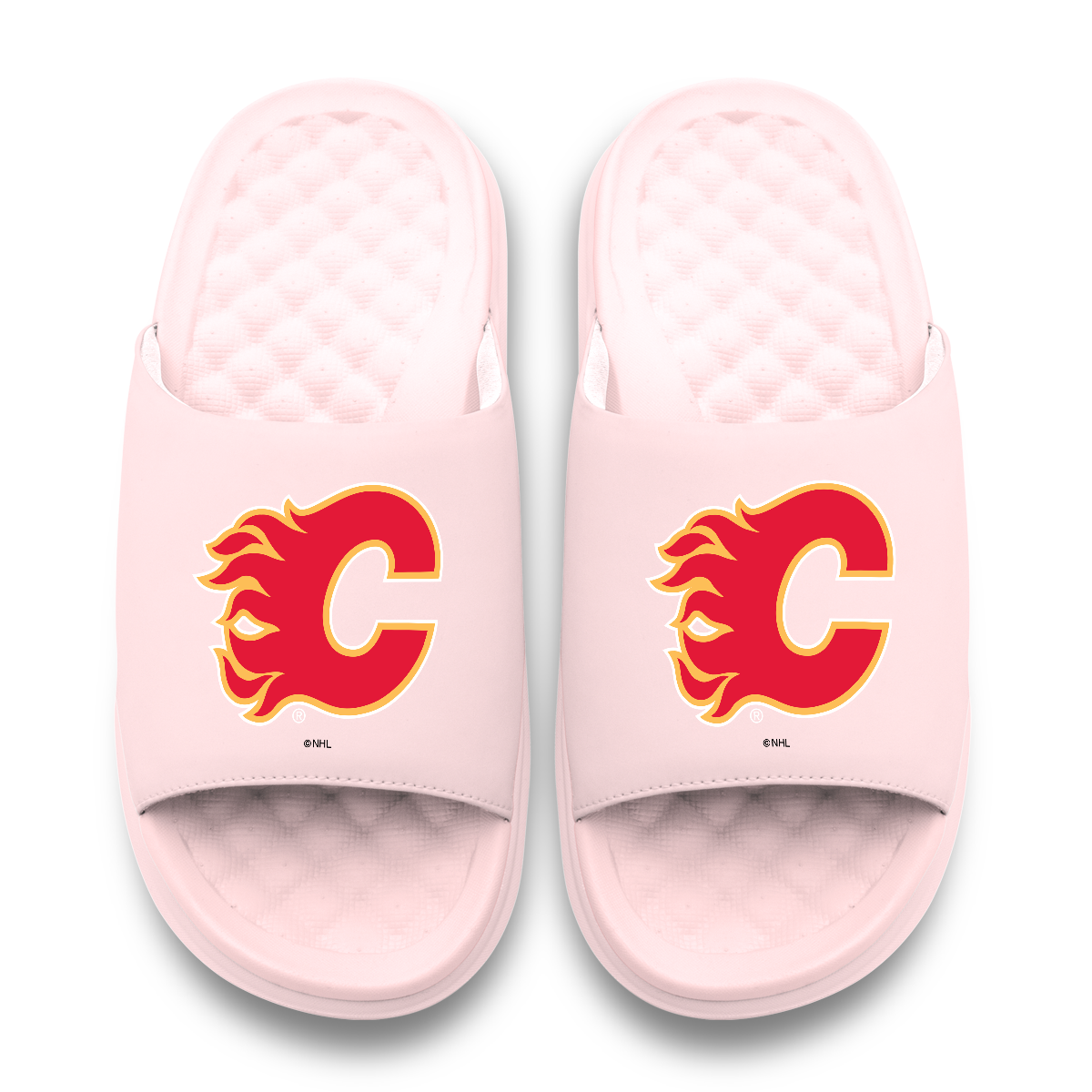 Calgary Flames Primary Motive 6