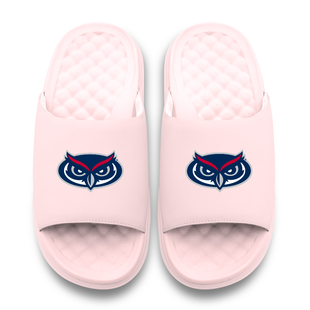 Florida Atlantic Owls Primary Motive 6