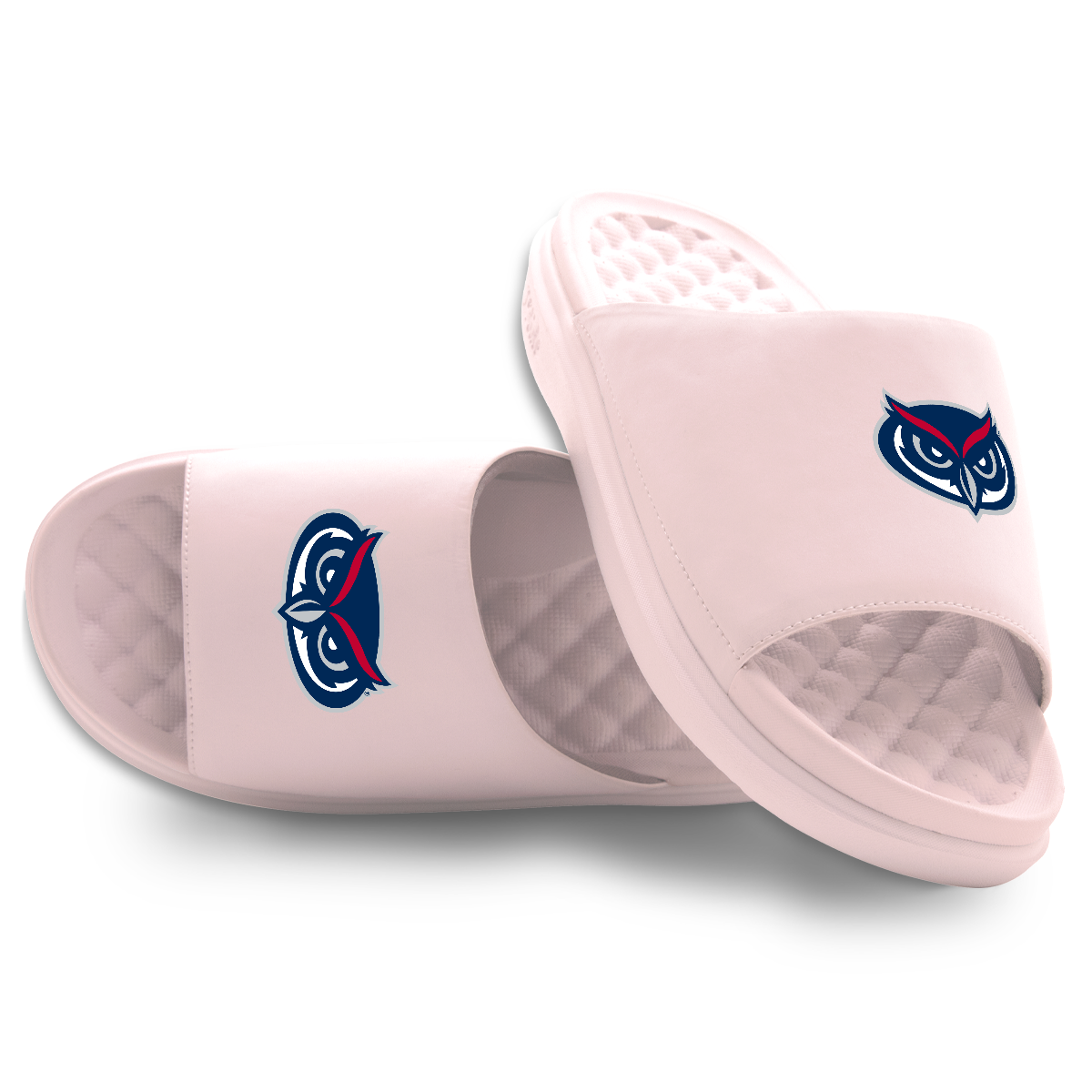 Florida Atlantic Owls Primary Motive 5