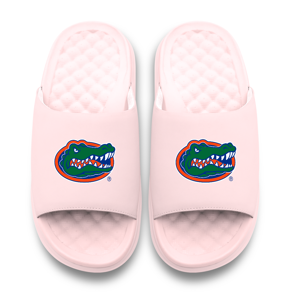 Florida Gators Primary Motive 6