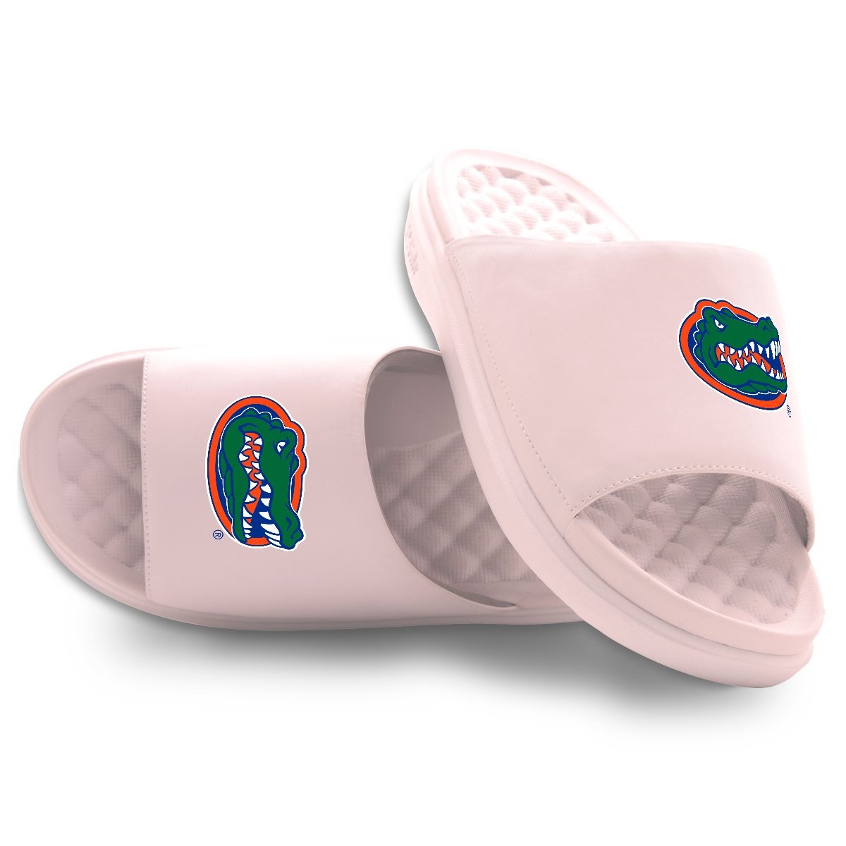 Florida Gators Primary Motive 5