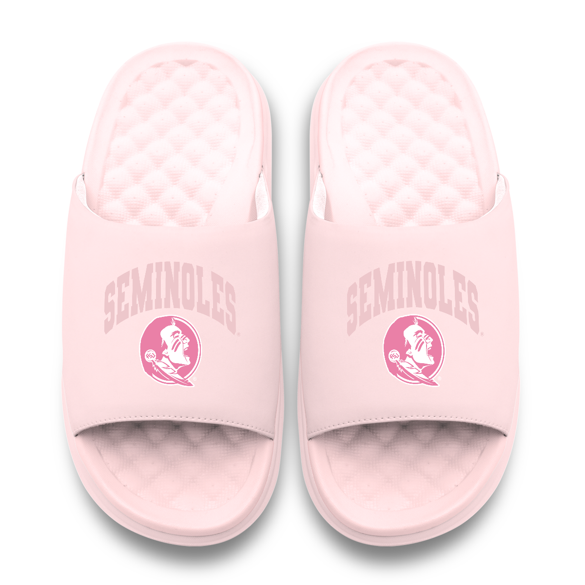 Florida State Seminoles Tonal Pop Motive 11