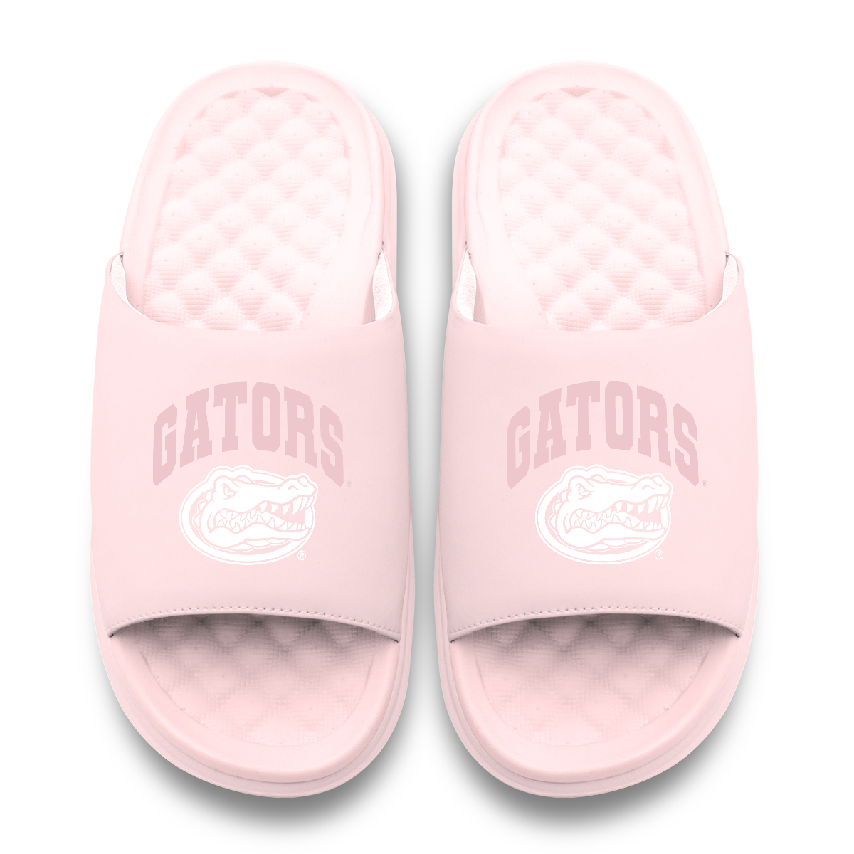 Florida Gators Tonal Pop Motive 11
