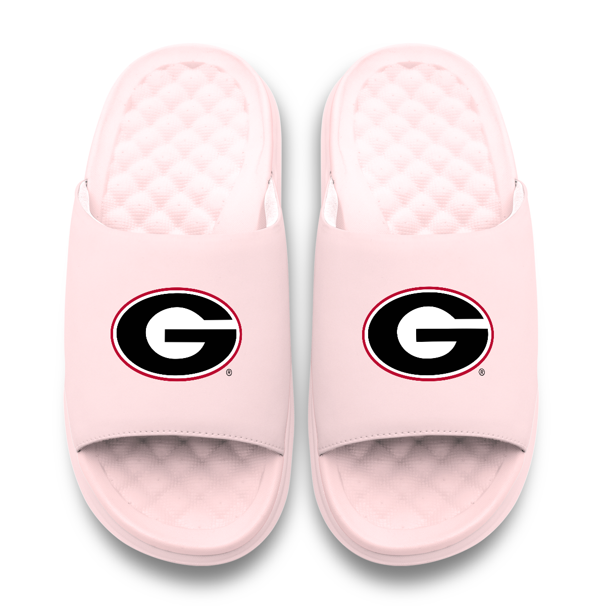 Georgia Bulldogs Primary Motive 6